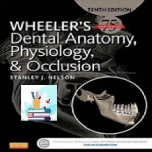 Wheeler&#039;s Dental Anatomy Physiology and Occlusion TRUE PDF