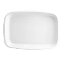 دیس چینی زرین ایران مدل HM-40 درجه سه