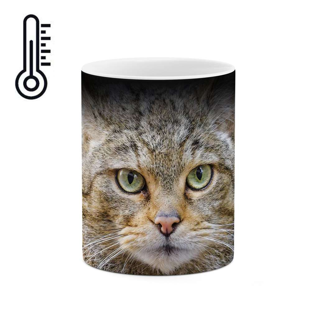 ماگ حرارتی کاکتی طرح گربه مدل mgh16554