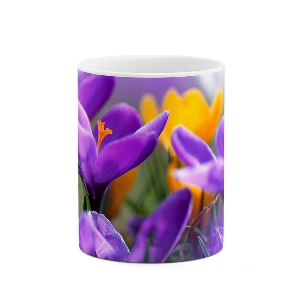 ماگ طرح گل مدل mgs12136