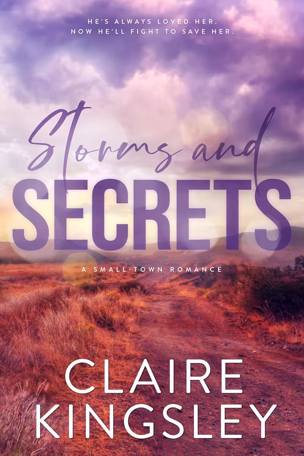 Storms and Secrets (The Haven Brothers Book 2)