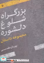 قیمت و خرید کتاب بزرگراه شلوغ دلشوره اثر پویان مقدسی | ایده بوک