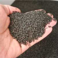 تخم شربتی یا ریحان شربتی 500گرمی