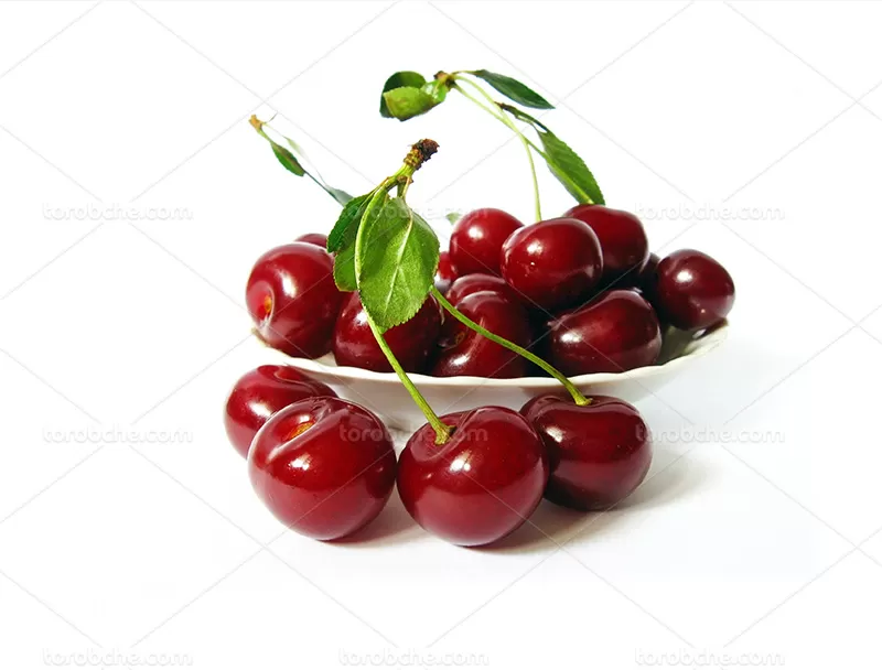 عکس میوه آلبالو | گرافیک با طعم تربچه