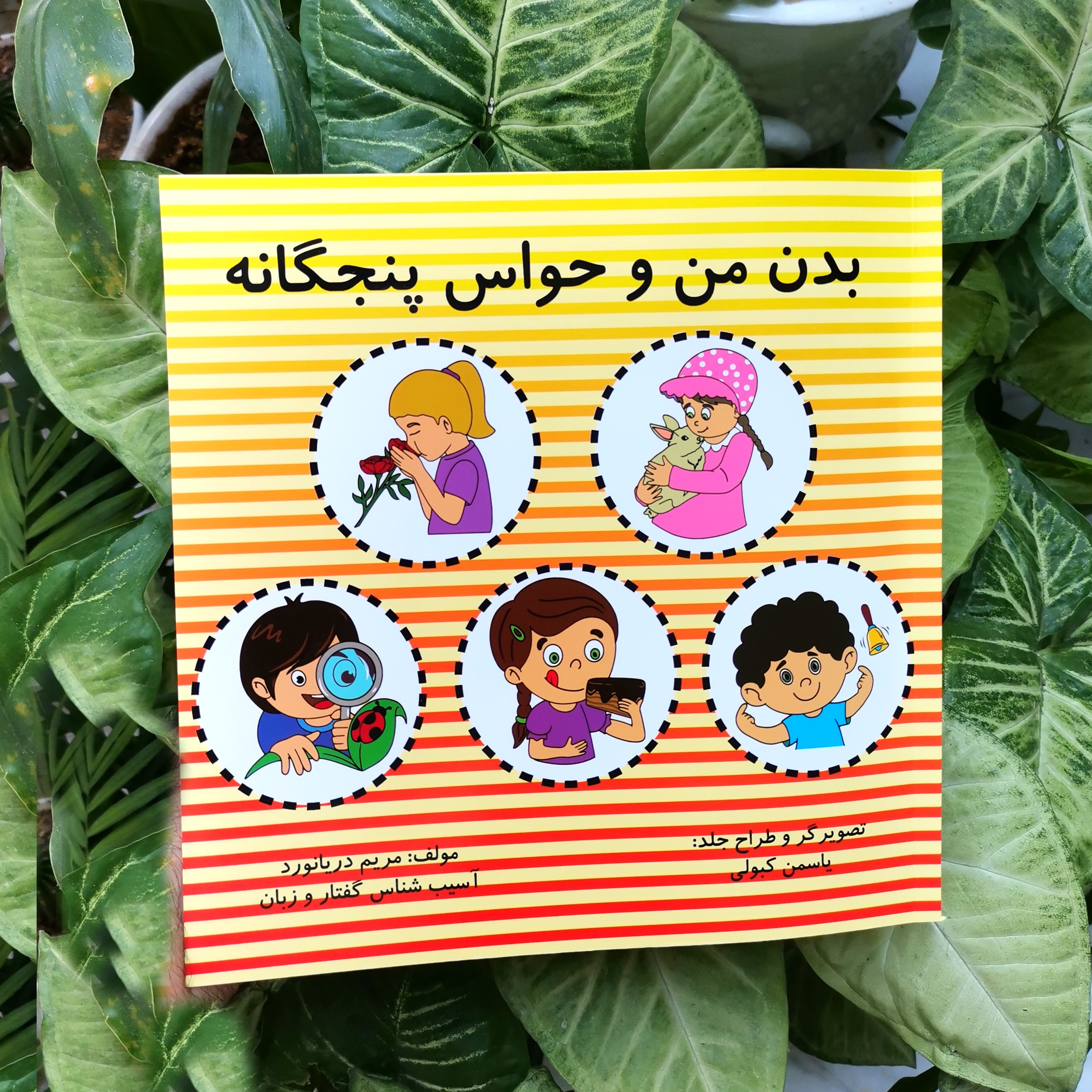 کتاب بدن من و حواس پنج گانه تالیف خانم مریم دیانورد (مصور رنگی)