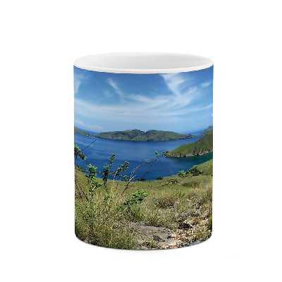 ماگ طرح طبیعت مدل mgs05792