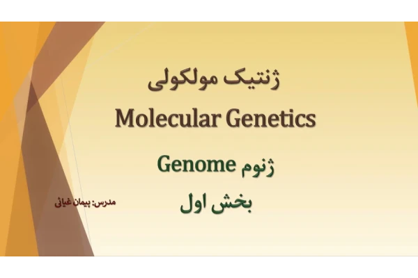 ژنوم 4 🔬 - کتابخانه مجازی واتیکان