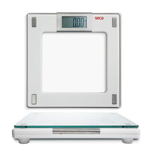 ترازوی پزشکی سکا مدل 807Seca Weighing Scale 807