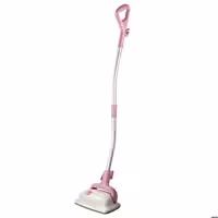 بخارشوی بیترون مدل BSM-10