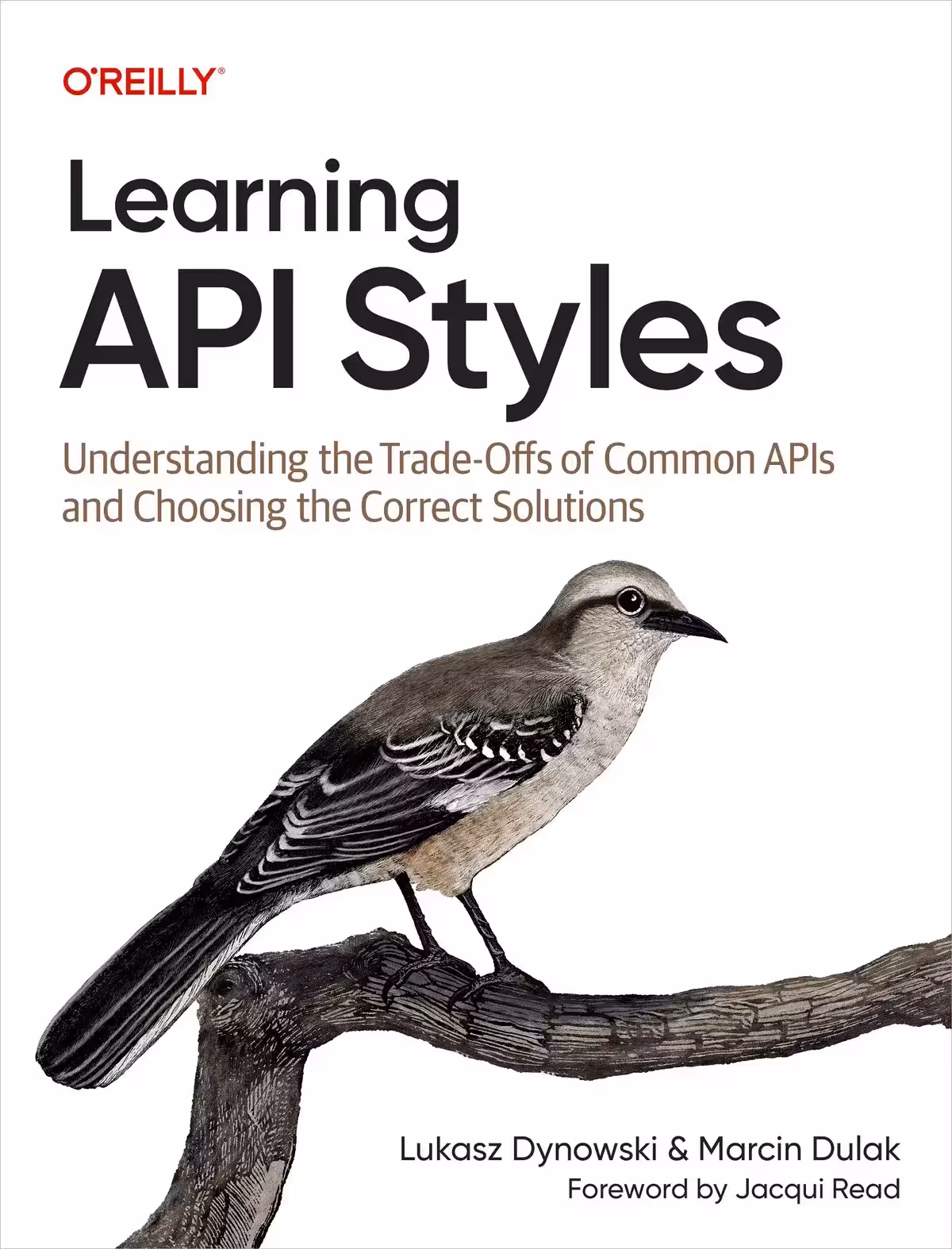 کتاب Learning API Styles