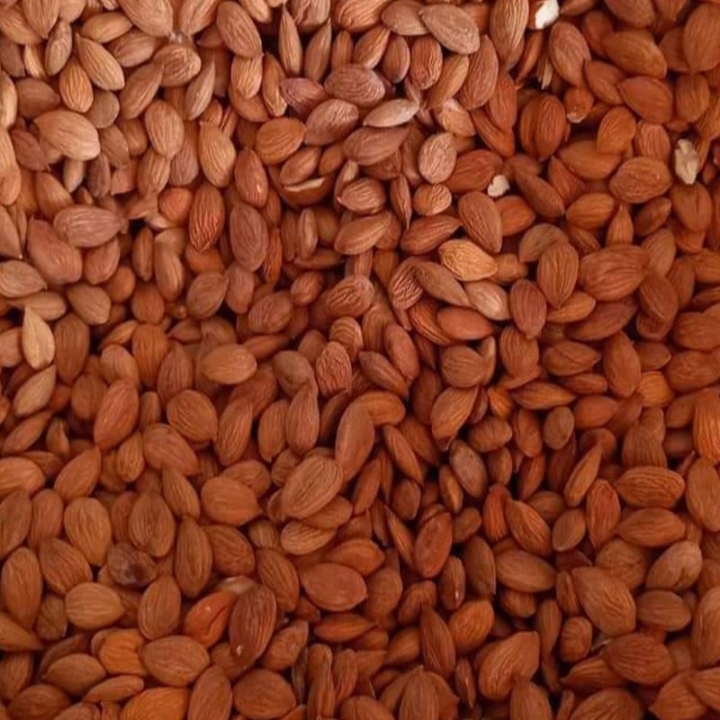 مغز زردآلو شیرین 500 گرم بسیار تازه و درجه یک با کیفیت تضمینتوضیحات مطالعه شود
