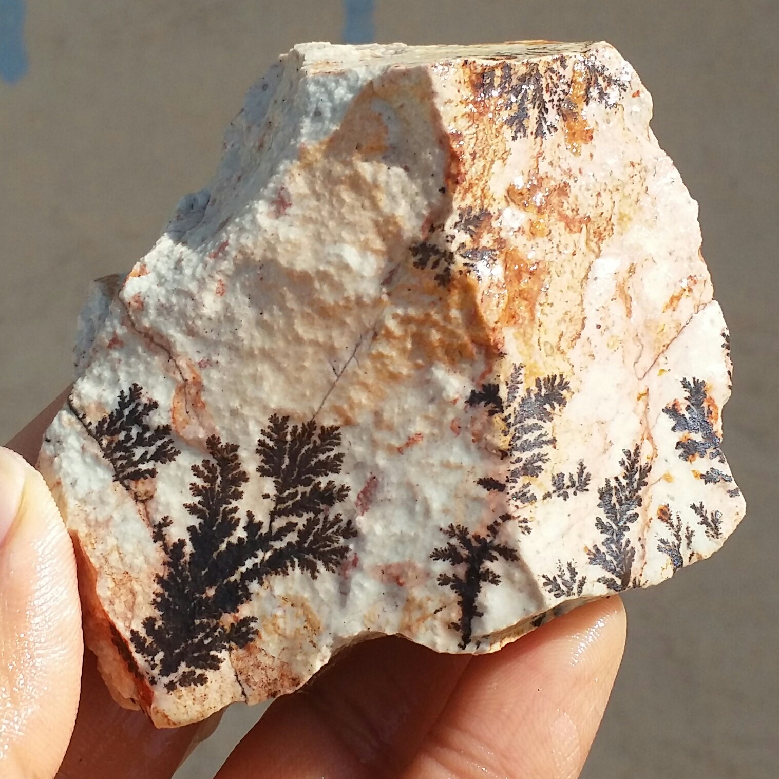 سنگ راف 100 در 100 طبیعی شجر دندریتی یا فسیلی درشت محشر  خاص شاهکار خلقت
شجر واضح خاص
تصویر از 4طرف نمونه
کد 11042