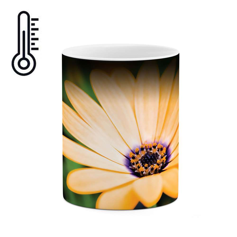 ماگ حرارتی طرح گل مدل mgh01736