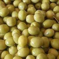 وکیوم زیتون ممتاز 200 گرمی