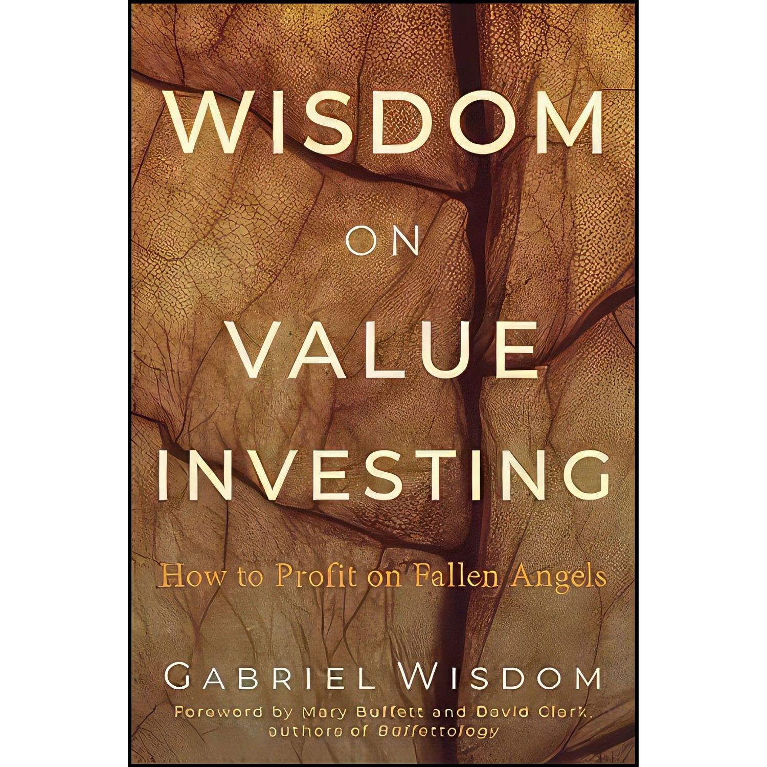 کتاب زبان اصلی Wisdom on Value Investing اثر Gabriel Wisdom