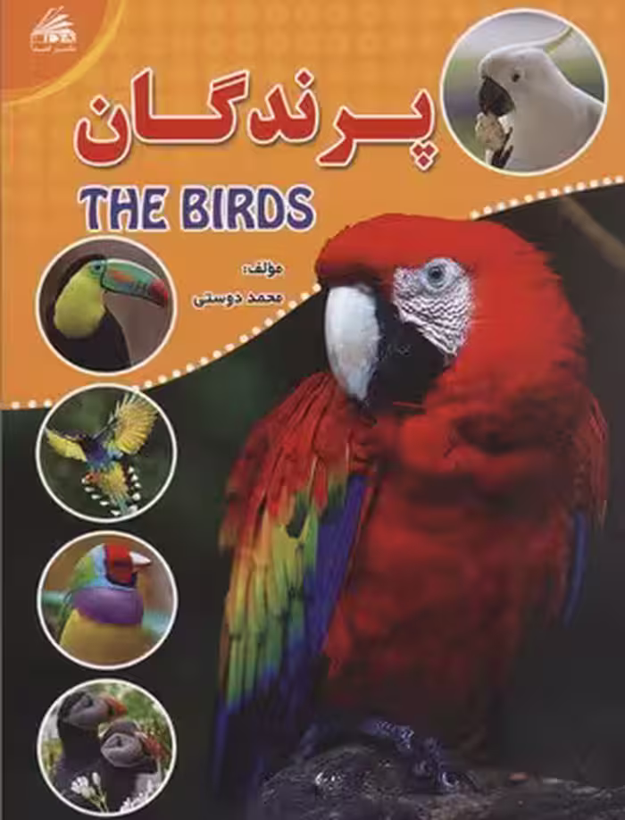 پرندگان(رحلی)لیدا