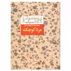 کتاب مرد کوچک اثر آلفونس دوده