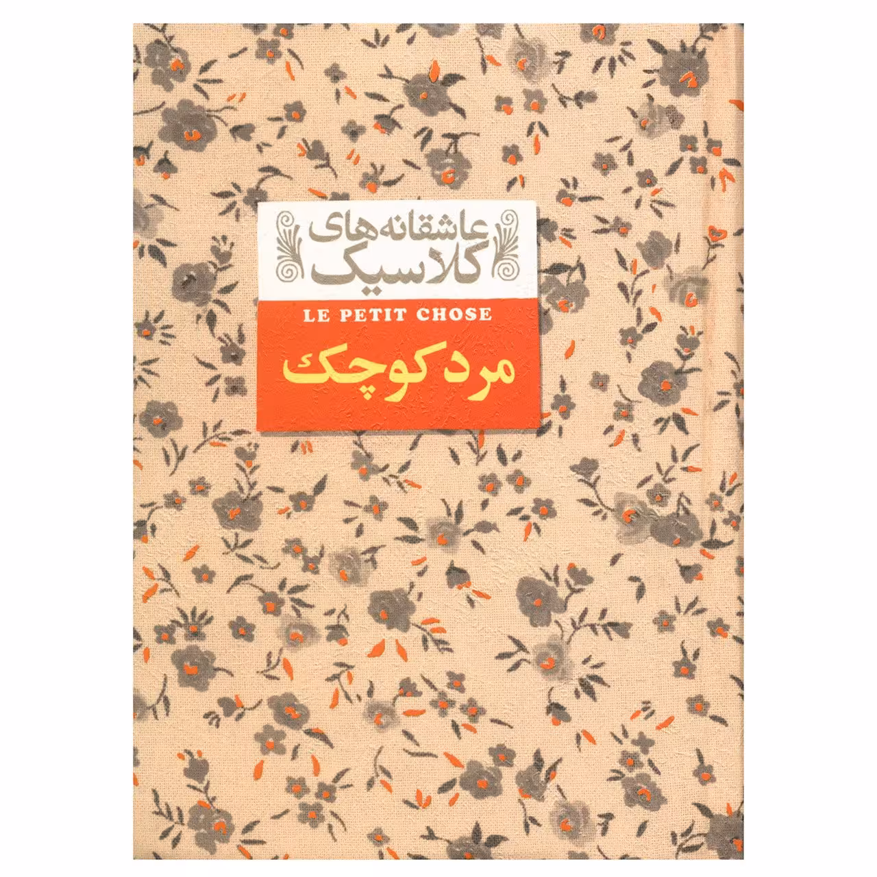کتاب مرد کوچک اثر آلفونس دوده