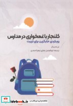 قیمت و خرید کتاب کلنجار باغمخواری در مدارس | ایده بوک
