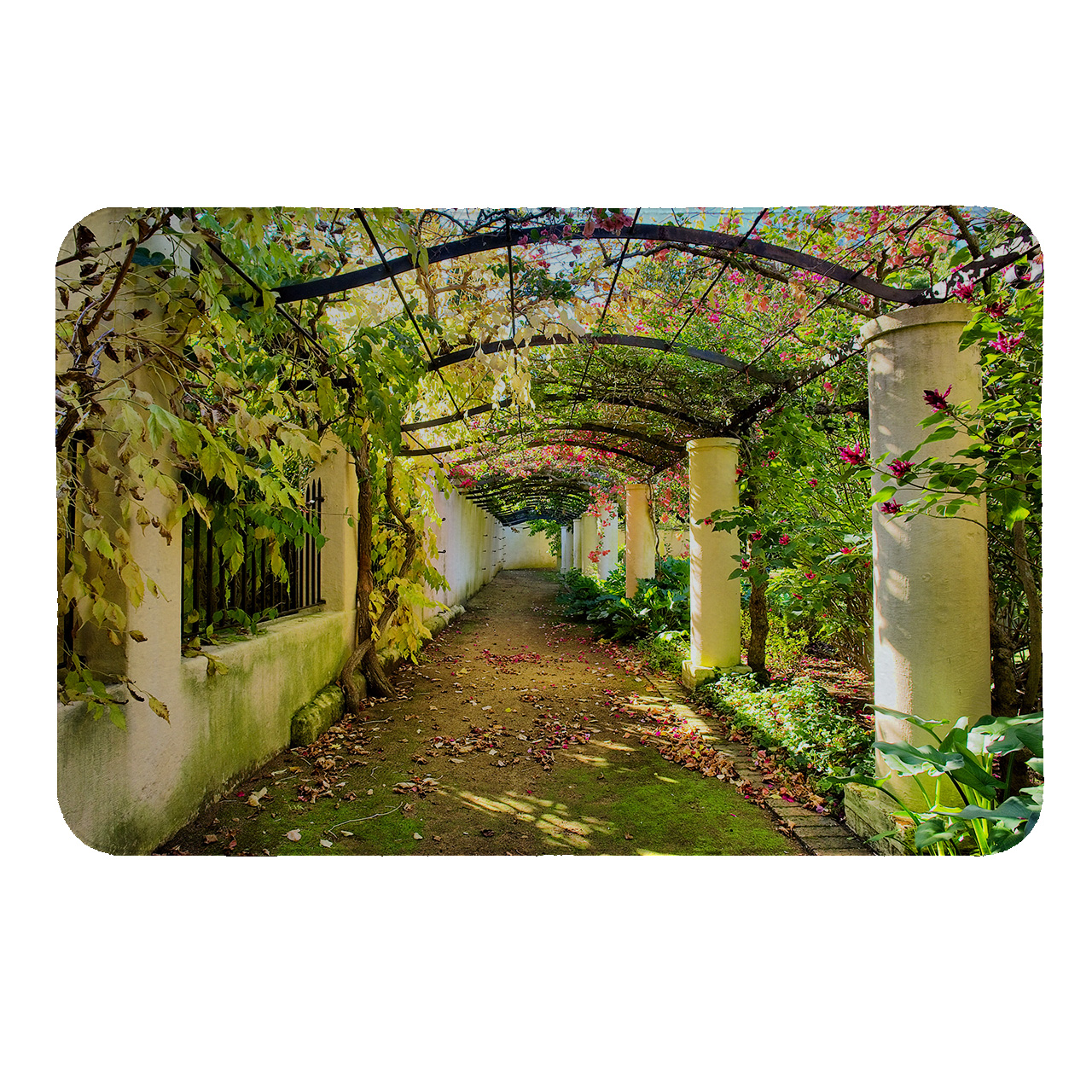 رطوبت گیر کنار سینک کد 5481