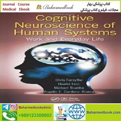 Cognitive Neuroscience of Human Systems Work and Everyday L