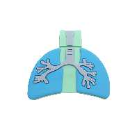 فلش مموری دایا دیتا طرح Lungs مدل PF1101 ظرفیت 32 گیگابایت