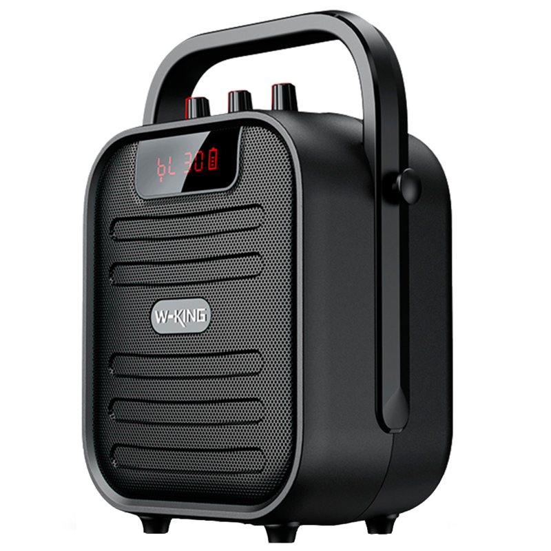 اسپیکر بلوتوث دبلیو کینگ W-King T5 Mini Bluetooth Speaker 15W رم و فلش خور و توان 15 وات