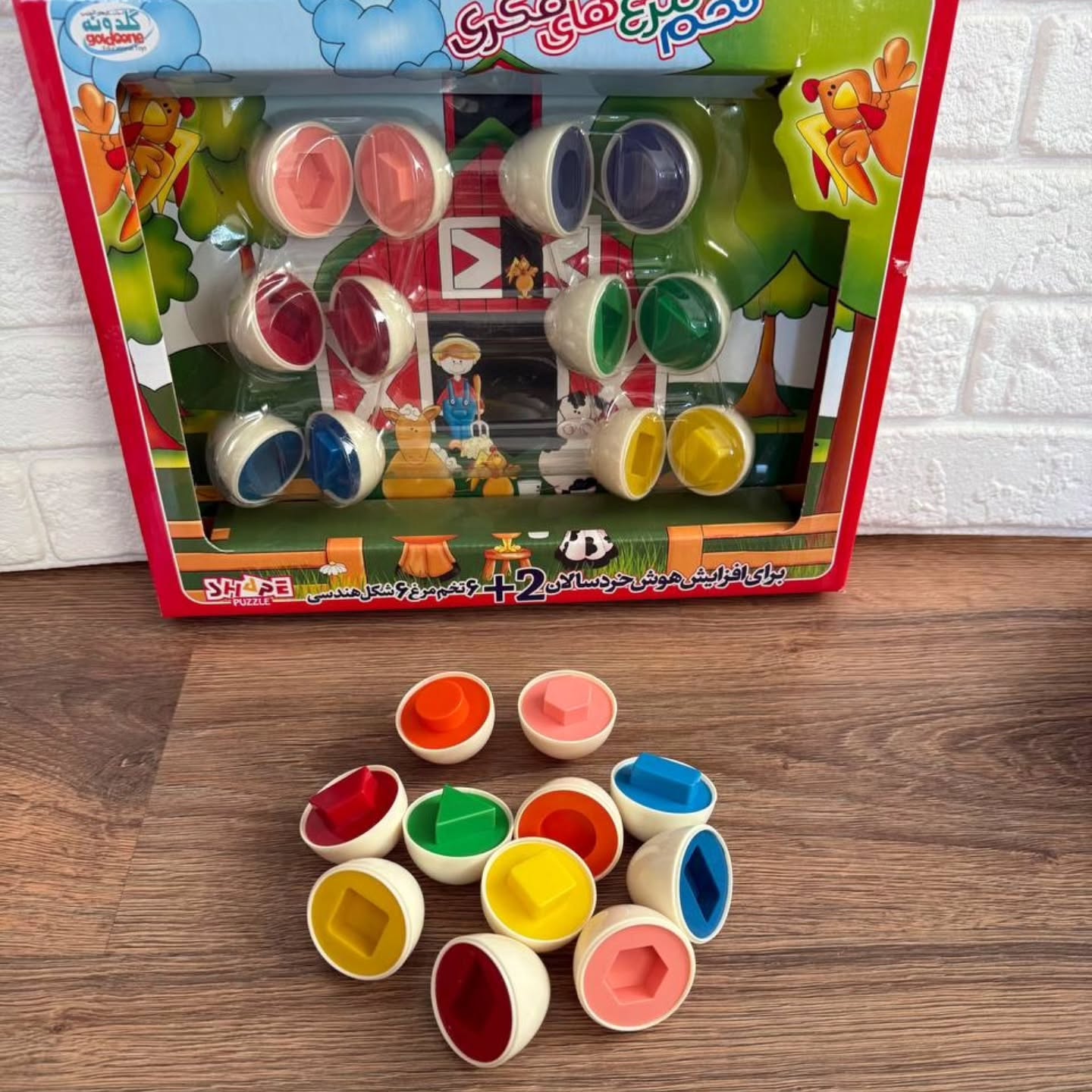 تخم مرغ فکری