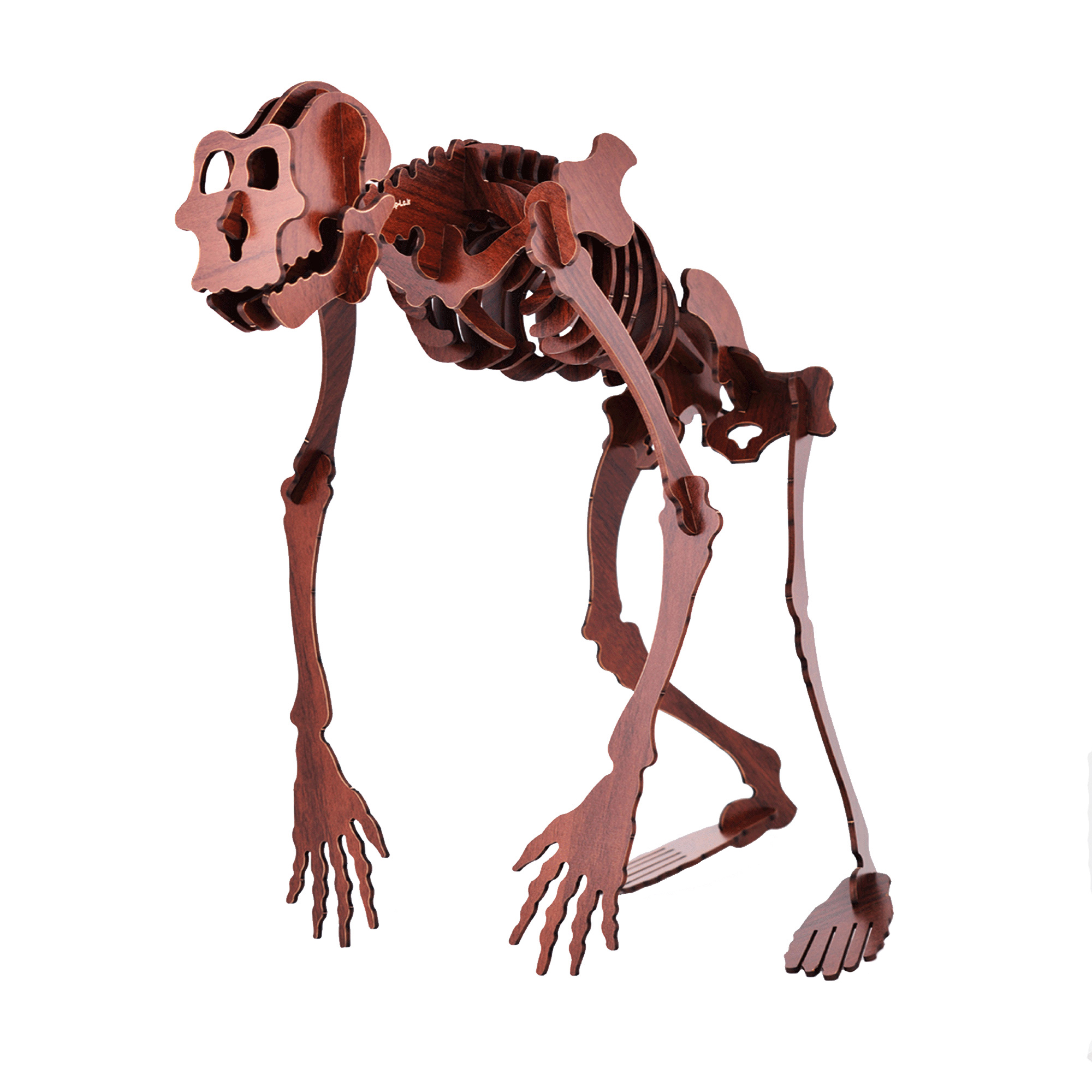  ساختنی آبان مدل پاگنده