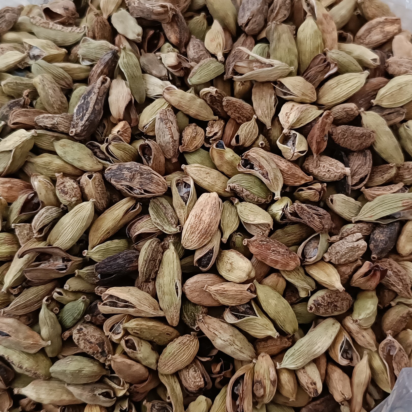 هل myq فیلی مخصوص عرقگیری 