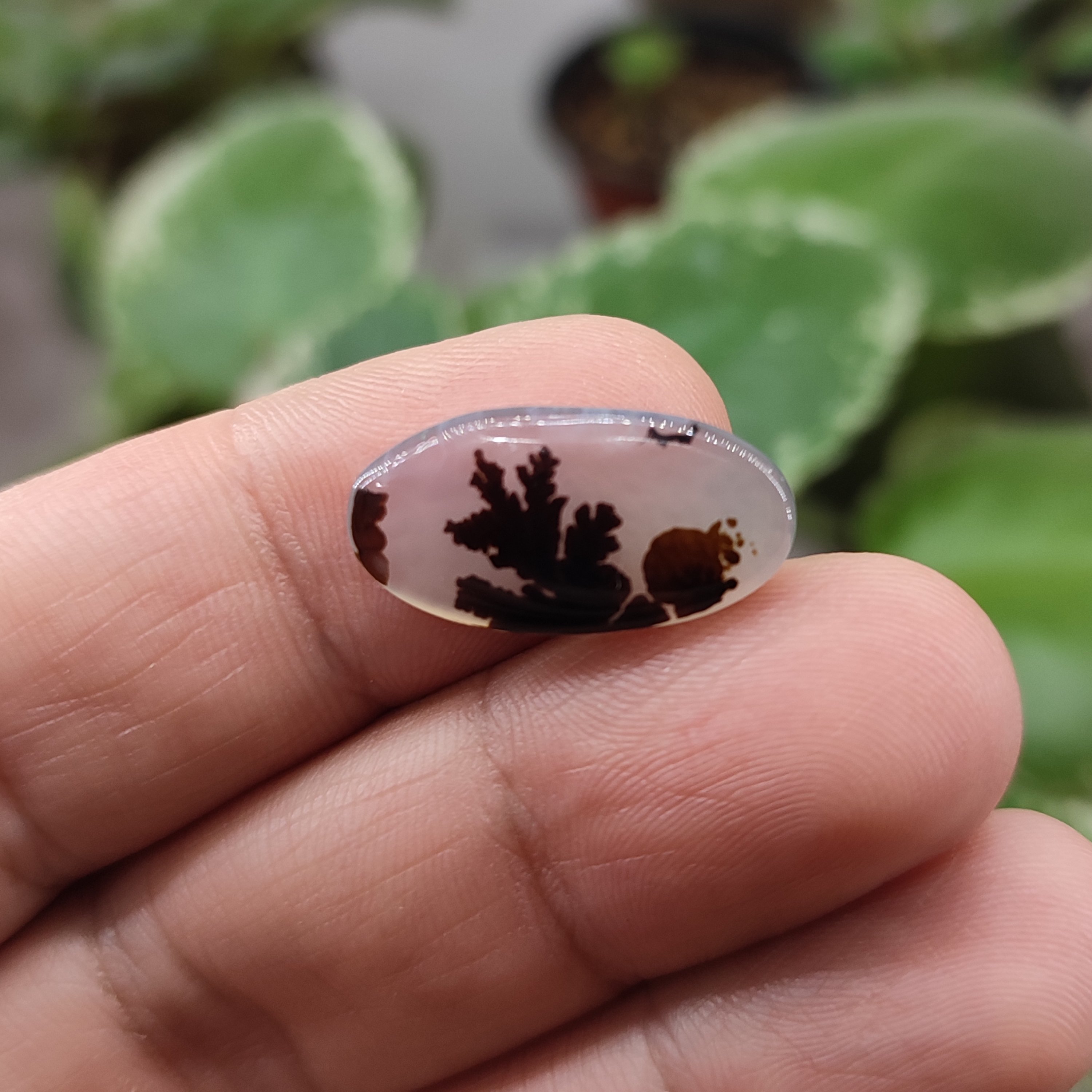  شجر قائن  با نقش سنجاب  کد3