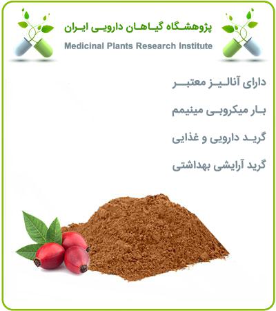 عصاره میوه نسترن خشک (پودری)