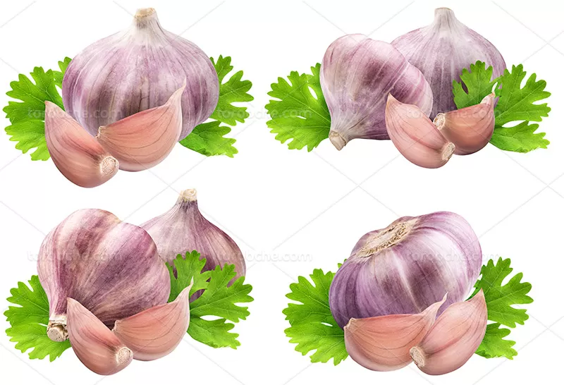 عکس حبه سیر تازه | گرافیک با طعم تربچه