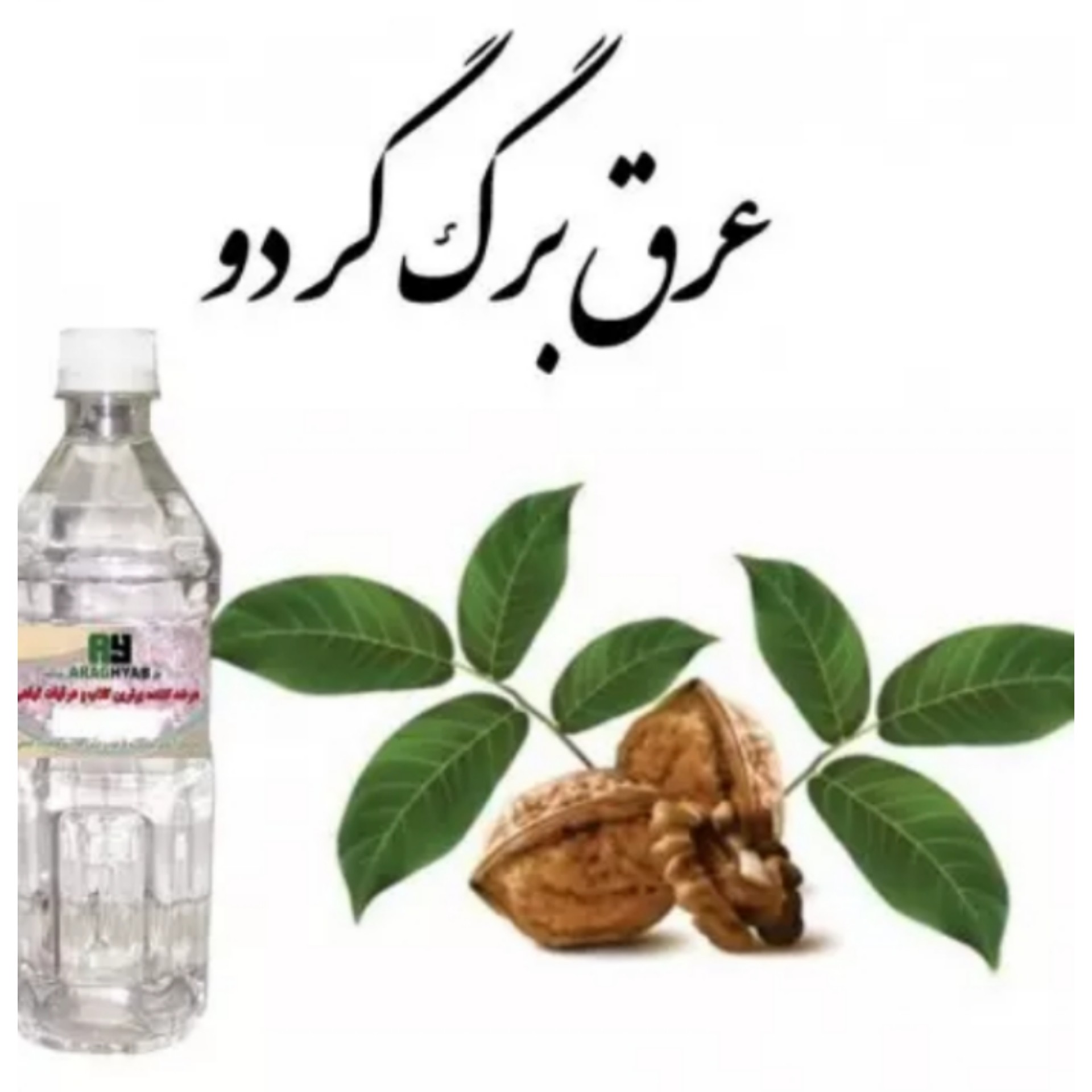 عرق برگ گردو یک لیتری مناسب دیابت 