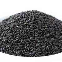 تخم شربتی درشت