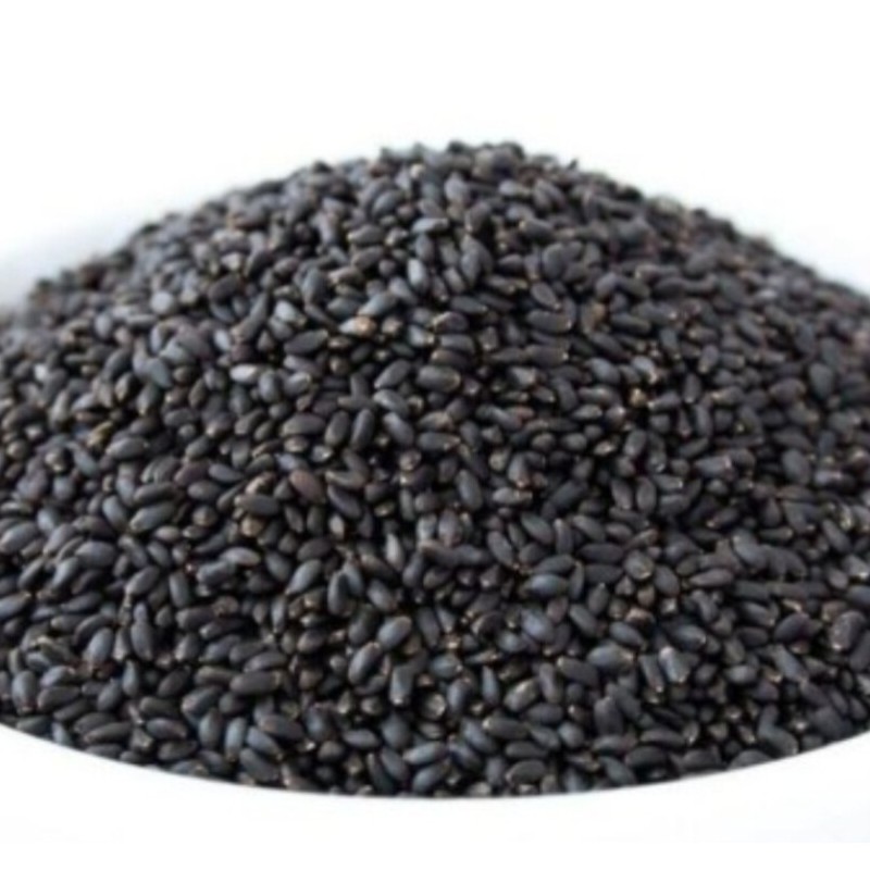 تخم شربتی درشت