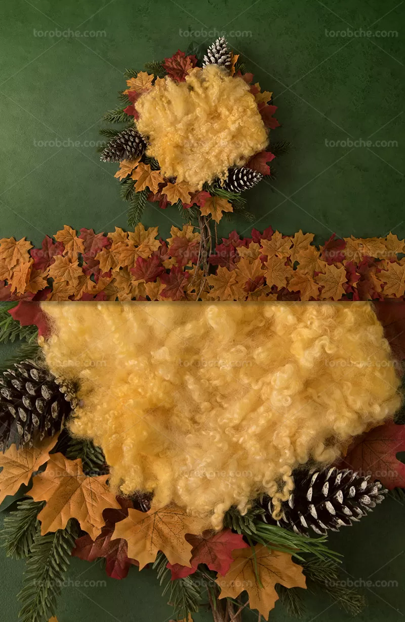 بک دراپ نوزادی | گرافیک با طعم تربچه