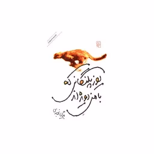کتاب یوزپلنگانی که با من دویده ‌اند اثر بیژن نجدی