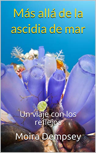 خرید و دانلود نسخه کامل کتاب Más allá de la ascidia de mar: Un viaje con los reflejos (Spanish Edition) -   Pdf