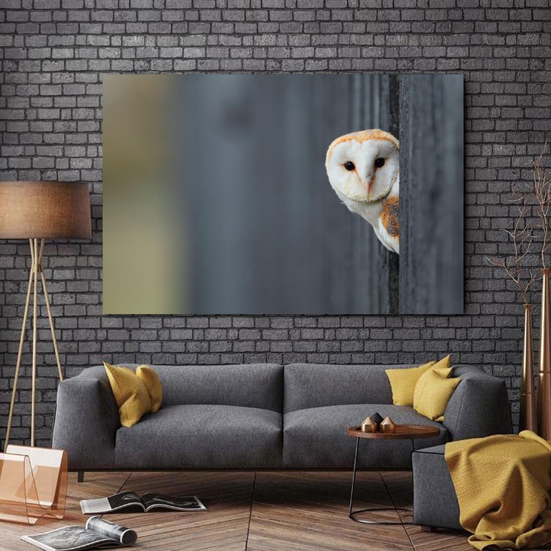 تابلو شاسی طرح جغد کد 10