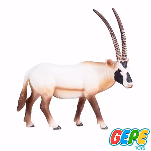 فیگور تیزشاخ بزرگ عربی