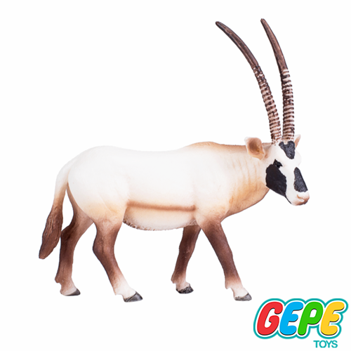فیگور تیزشاخ بزرگ عربی