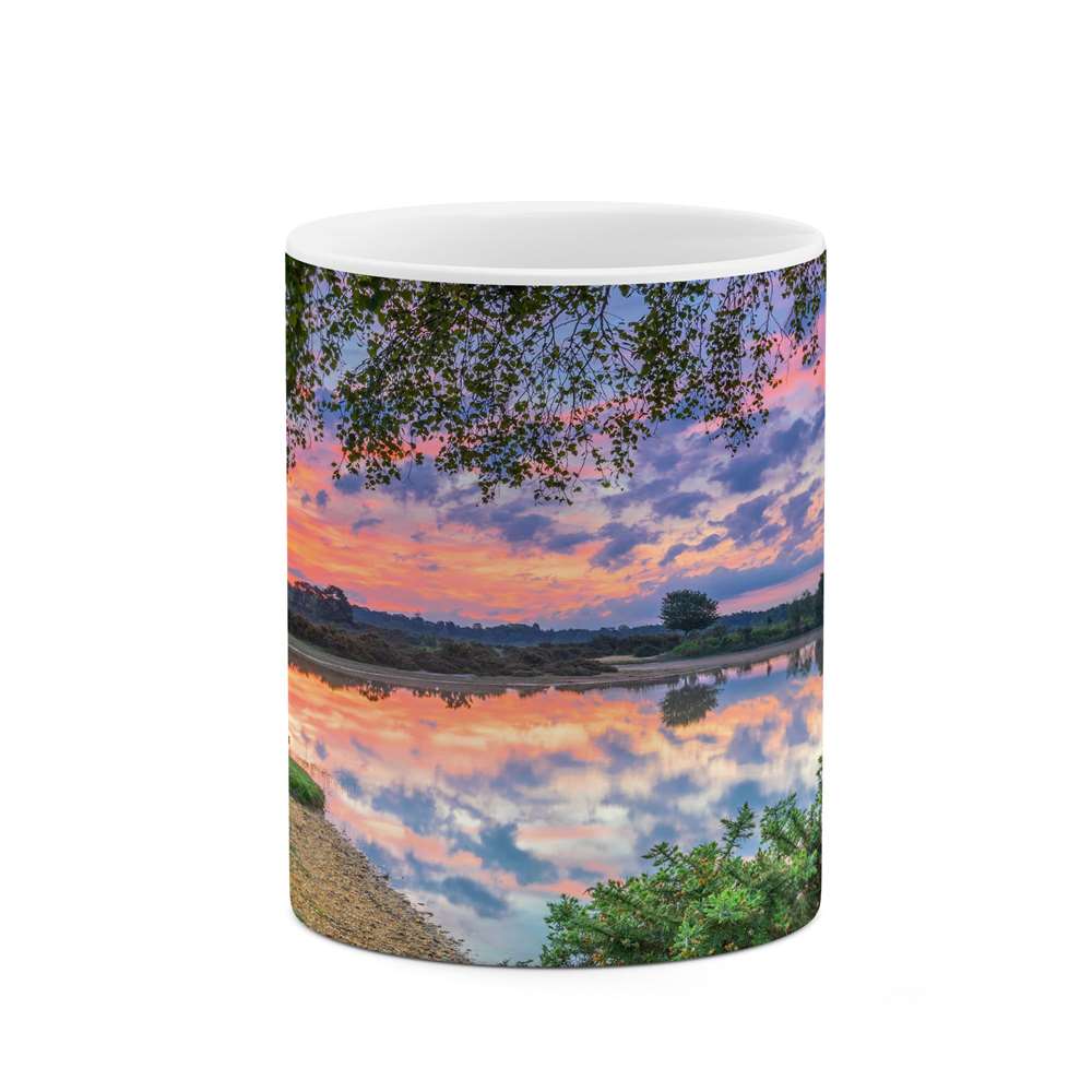 ماگ کاکتی طرح منظره مدل mgs13115