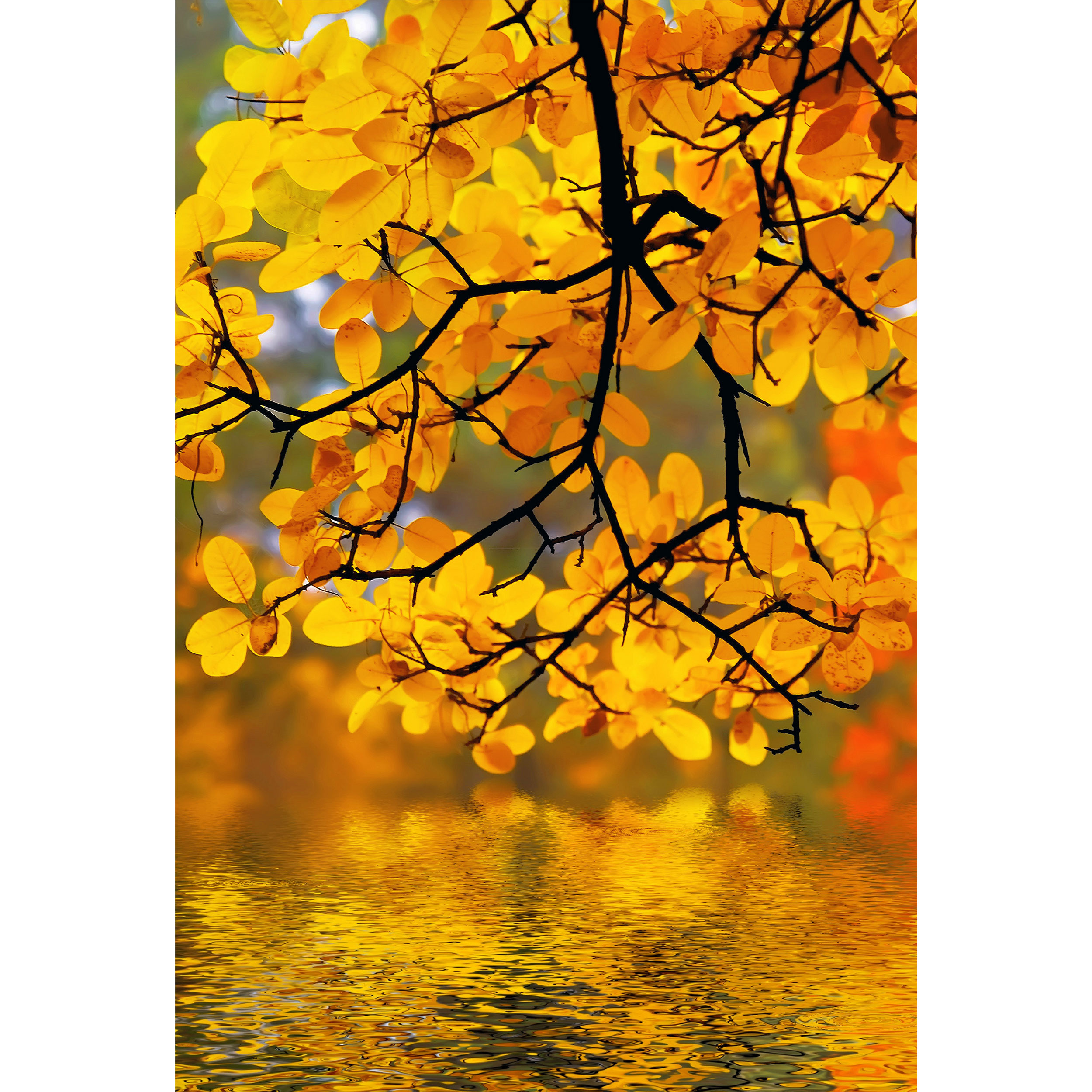 تابلو شاسی طرح درخت و رودخانه و برگ پاییزی مدل T6809