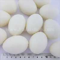 تخم مرغ پلاستیکی بسته ای