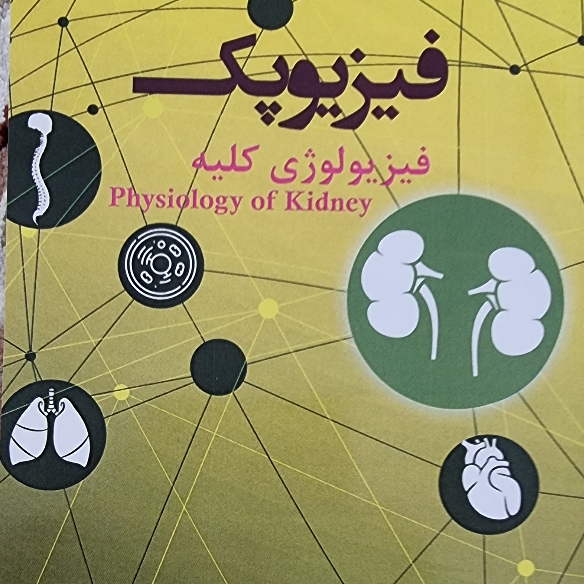 کتاب فیزیولوژی کلیه گایتون