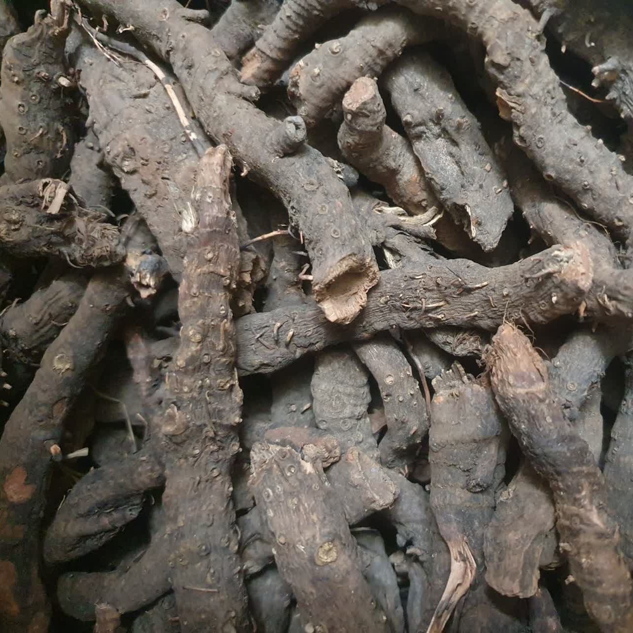 گیاه جنطیانا کوشاد 50 گرم 