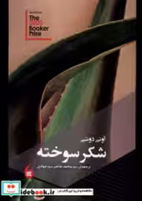 قیمت و خرید کتاب شکر سوخته مانیا هنر اثر آونی دوشی | ایده بوک