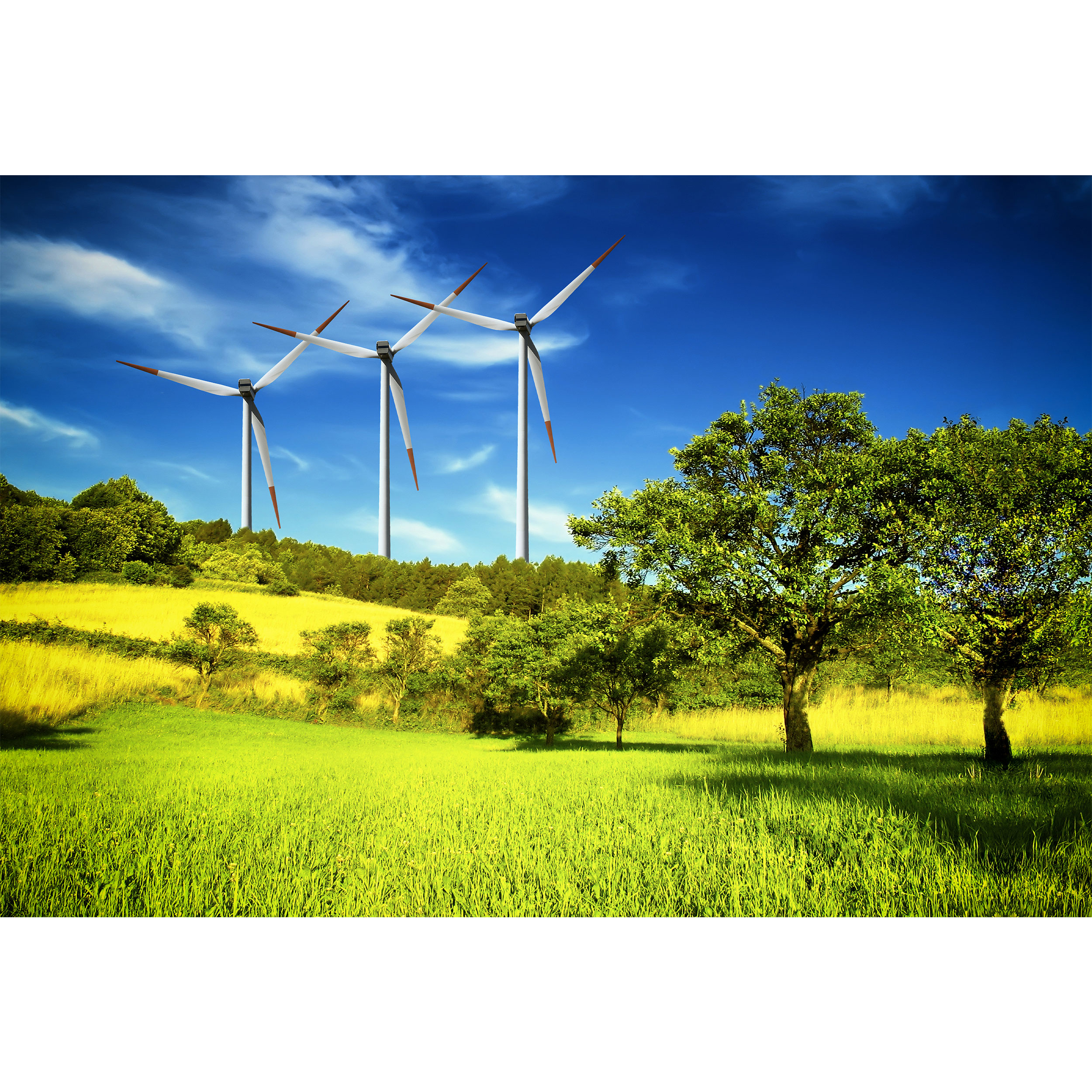 تابلو شاسی مدل درخت و سبزه و طبیعت و آسمان T6883