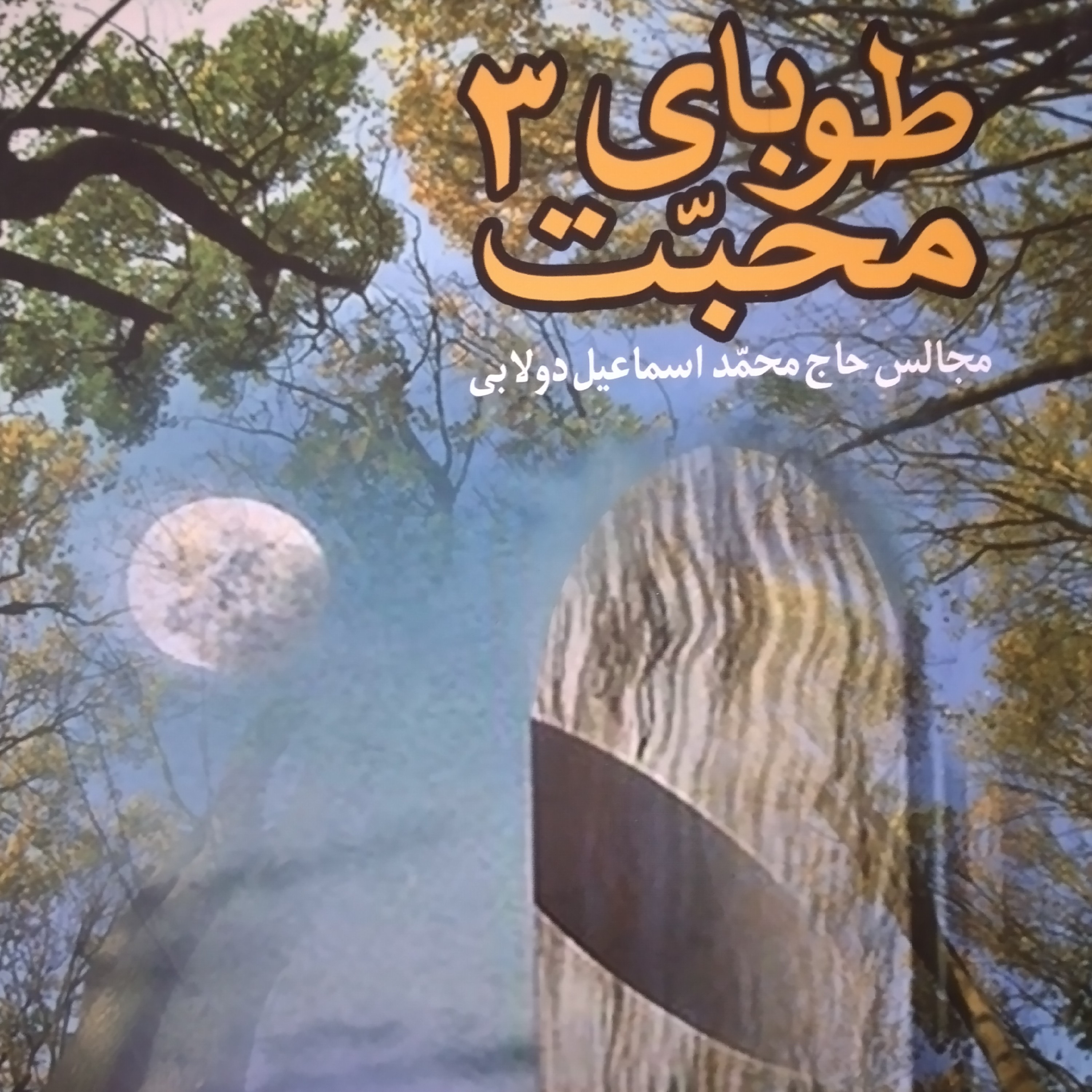 کتاب طوبای محبت مجالس حاج محمد اسماعیل دولابی جلد سوم